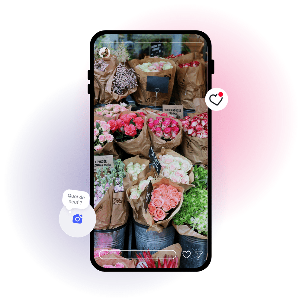 June Studio junestudio.be Communication & réseaux sociaux Instagram Agence de communication Belgique